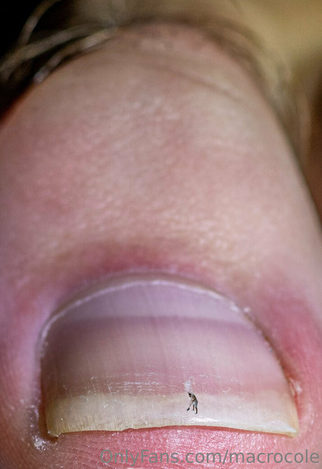 macrocole OnlyFans Beiträge