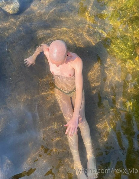 goddess tiereny OnlyFans Leaks Pornografie