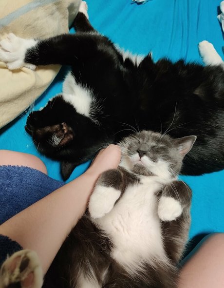 freemikomihokina Leaked OnlyFans Porn