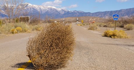 Grimoire Nacktbilder von OnlyFans geleakt