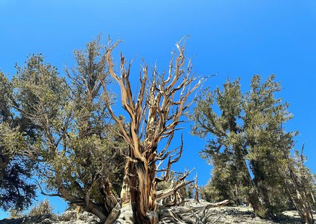 havefaithinmebabe Geleakte OnlyFans-Inhalte