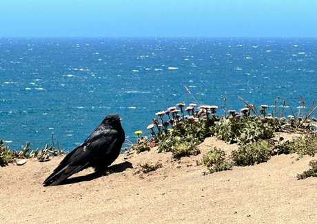 havefaithinmebabe Nacktbilder geleakt OnlyFans Nacktporno