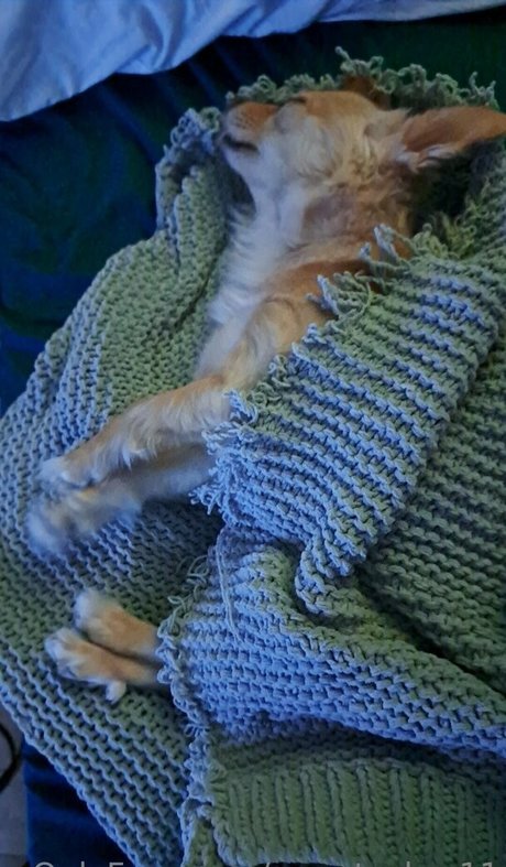 sweetcakes11 Geleakte OnlyFans-Inhalte