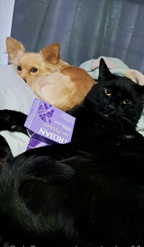 sweetcakes11 OnlyFans nackte Brüste