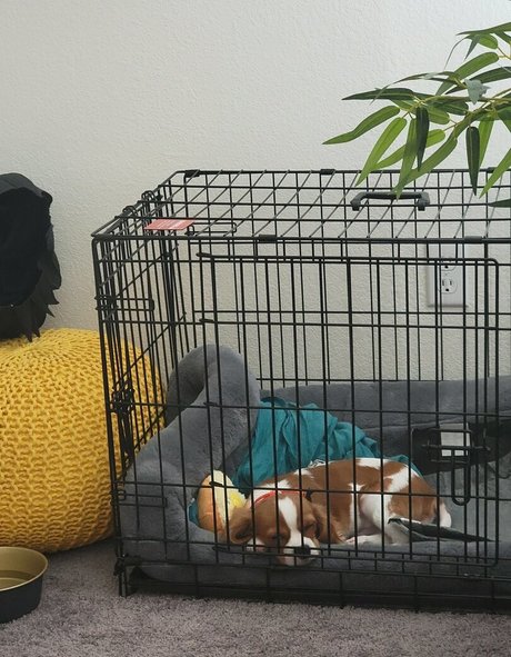 yureta2 OnlyFans Nackt Leak