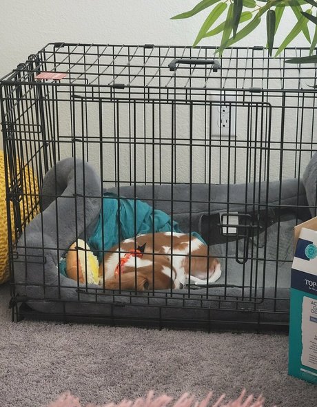 yureta2 Nackt Leaks OnlyFans