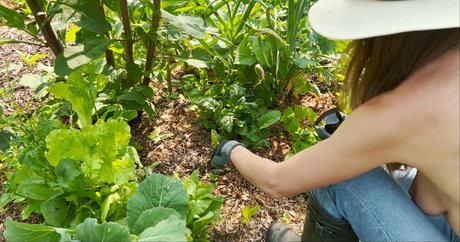 The Naked Gardener Nacktbilder geleakt OnlyFans geleakt
