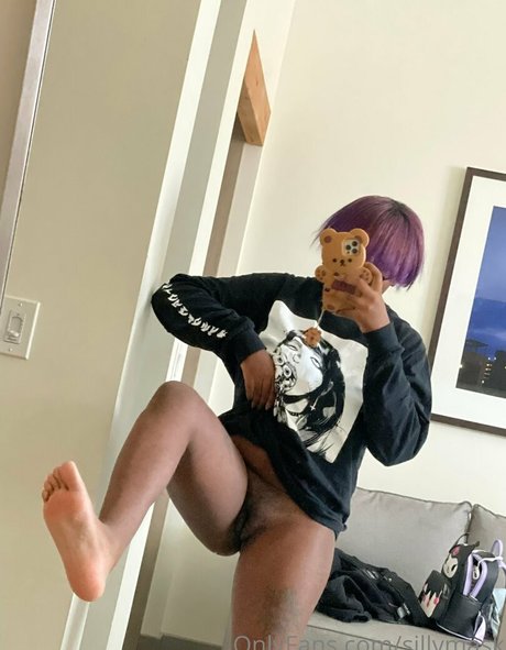 Sillymask OnlyFans Archiv