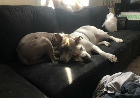 tantalizingtrifecta OnlyFans Striptease