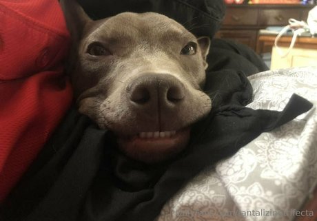 tantalizingtrifecta Neue OnlyFans Leaks