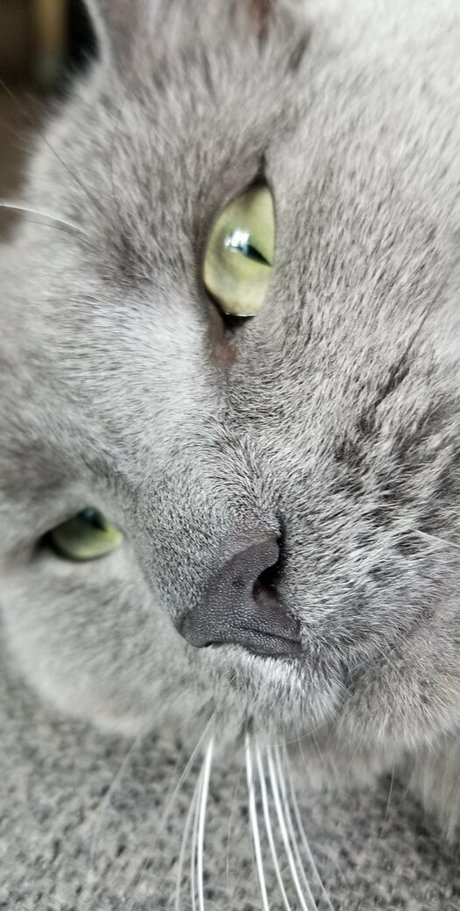 andromedanekoclub Sexy OnlyFans