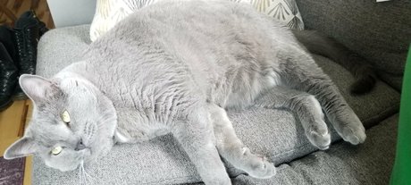 andromedanekoclub Brüste OnlyFans