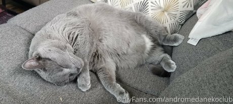andromedanekoclub Nackt auf OnlyFans