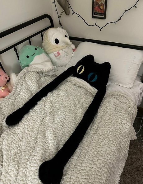 sleepy raccoon Nacktbilder von OnlyFans