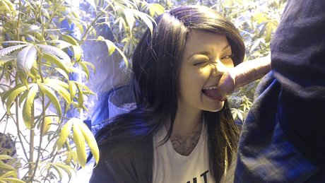 Soyacide OnlyFans nackt