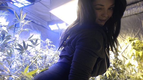 Soyacide OnlyFans Porno