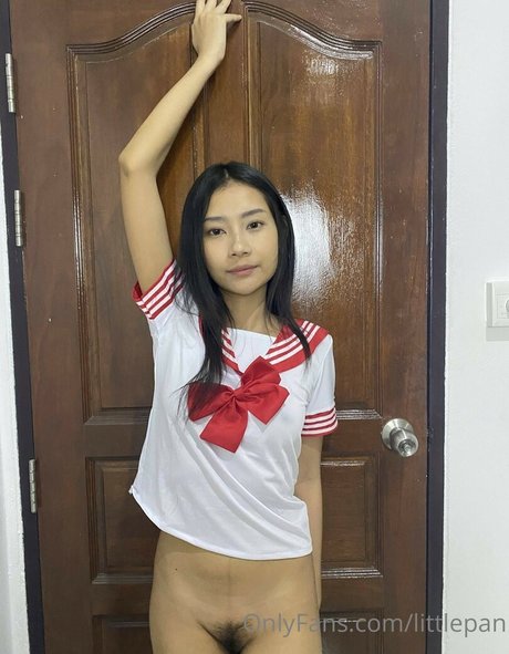 littlepan Kostenlose OnlyFans-Pornos