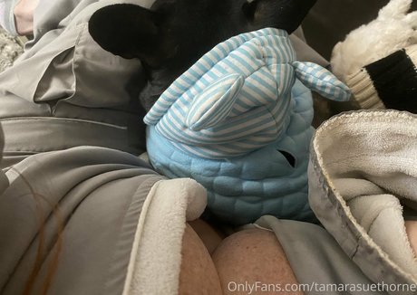 Tamarasuethorne Kostenlose OnlyFans-Pornos