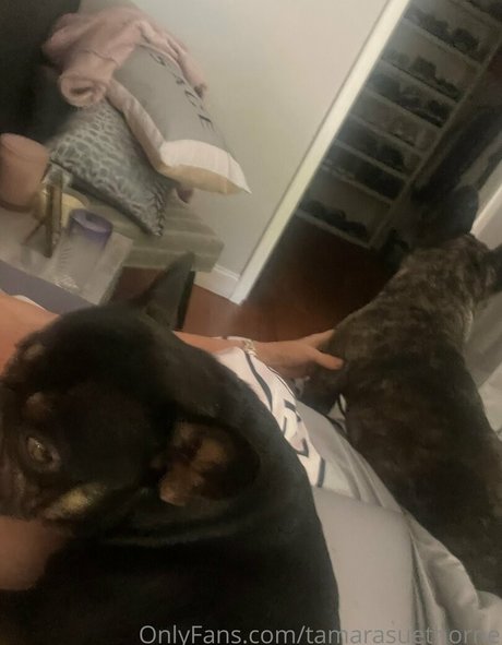 Tamarasuethorne OnlyFans Pornografie