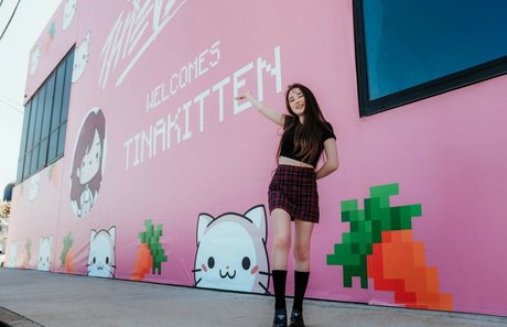 Tinakitten Leaked OnlyFans Pornografie