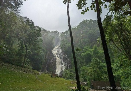 tiny nympho free OnlyFans Pornografie