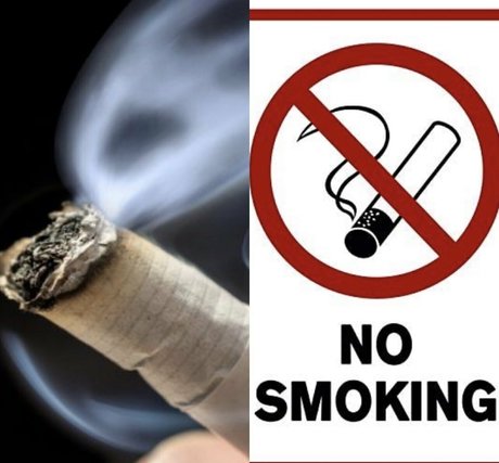 freeswissladyschweiz OnlyFans Leaks Gratis