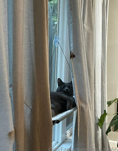 babyjas666 Nacktbilder OnlyFans geleakt