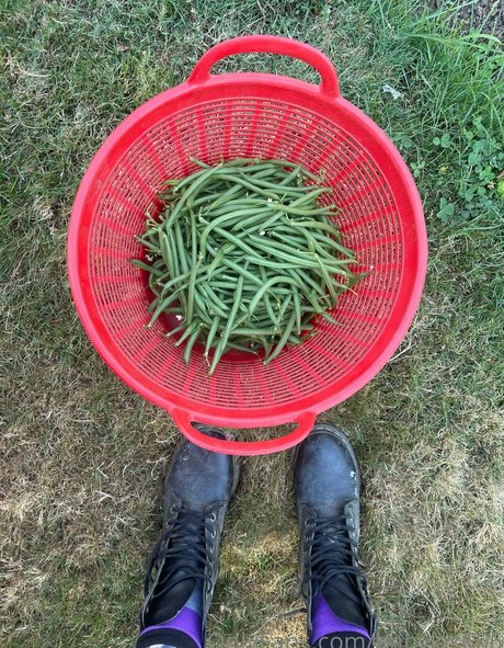 babyjas666 OnlyFans XXX