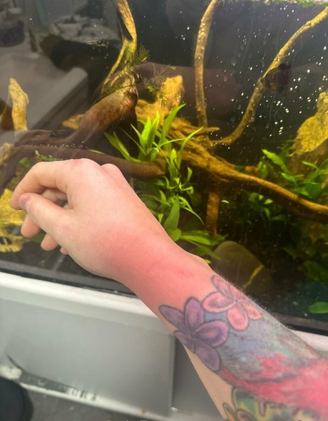 rosegalahfree OnlyFans OnlyFans