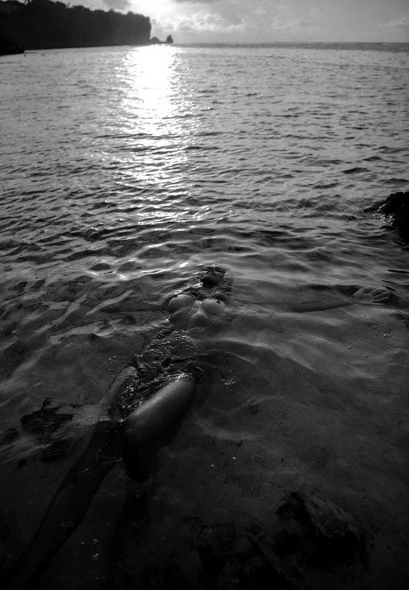 Natalie Jayne Roser Leaked OnlyFans Pornografie