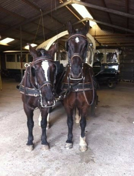 mollige emo-onlyfans schön nackt 4K