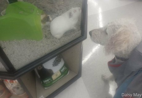 doitwithdaisy OnlyFans