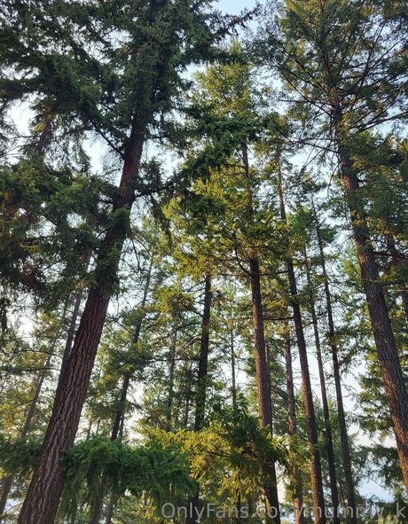 mummy k NurlyFans-Pornoleaks