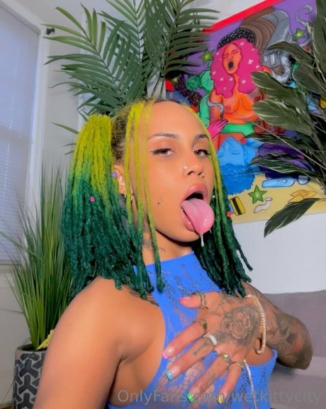 wetkittycity OnlyFans gratis