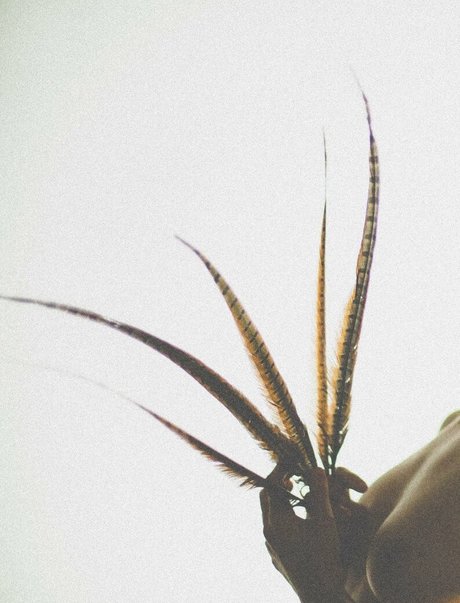 simonsaysarah Leaked OnlyFans Bilder