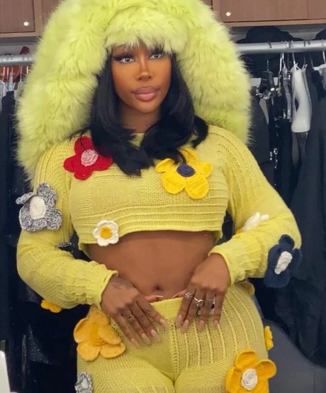 SZA Nacktbilder geleakt OnlyFans geleakt