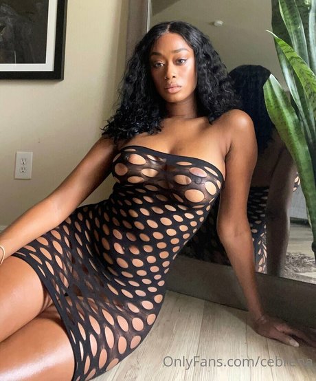cebrena OnlyFans Nacktbilder