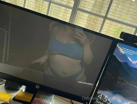 waifusimulator OnlyFans XXX