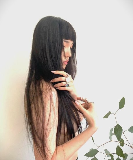 Aya Shalkar Profilbild