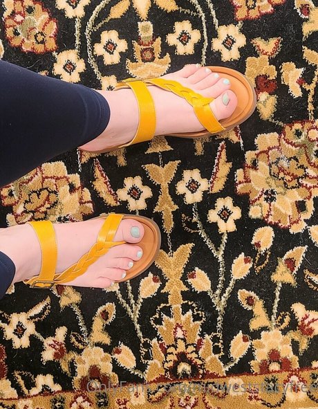 midweststacyfree Nacktbilder-Leaks von OnlyFans