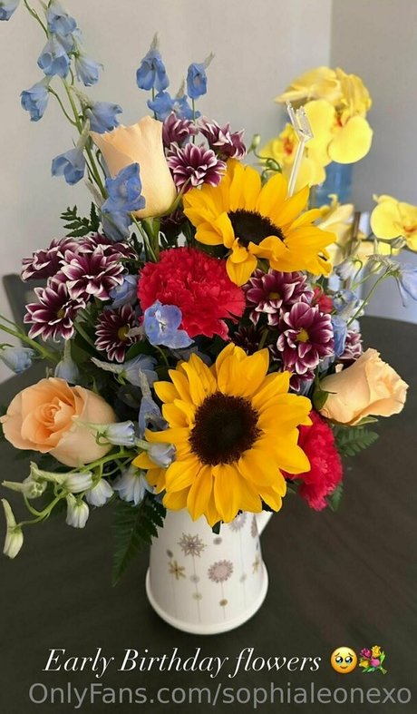 Sophialeonexo OnlyFans Nacktbilder geleakt