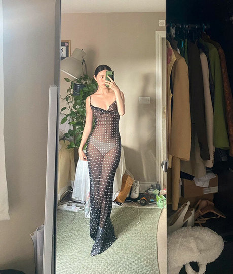 Vinted OnlyFans-Pornos