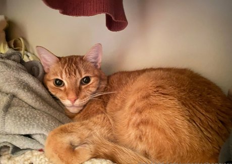 xxsacredhoneyxx OnlyFans Leak