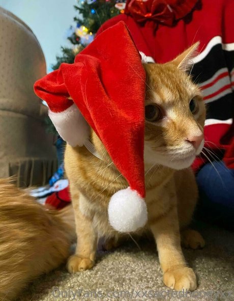 xxsacredhoneyxx Nacktbilder OnlyFans