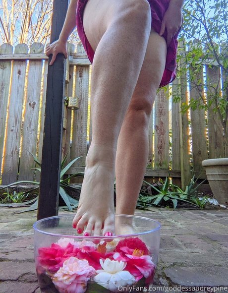 goddessaudreypine Nacktbilder von OnlyFans