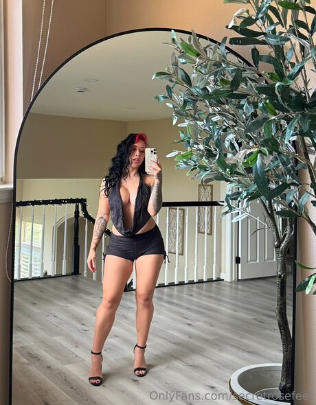 secretrosefeet OnlyFans Beiträge