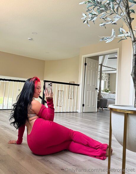 secretrosefeet OnlyFans Nackt Leak