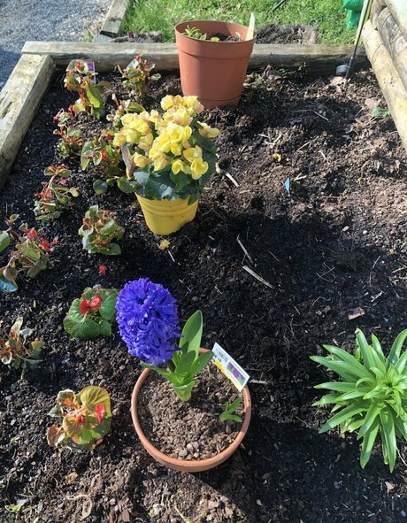 begformolly Nackt auf OnlyFans