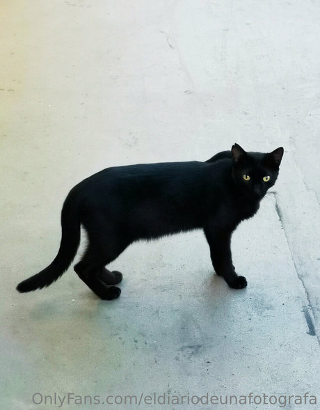 eldiariodeunafotografa OnlyFans Inhalte