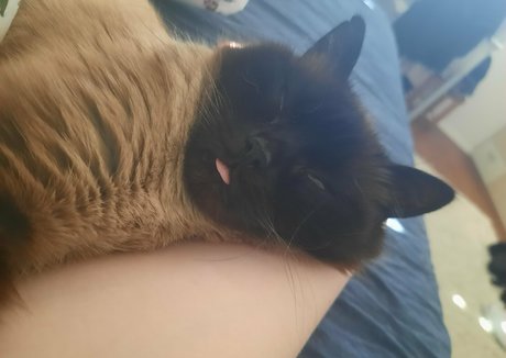 missmeismaid OnlyFans-Leak